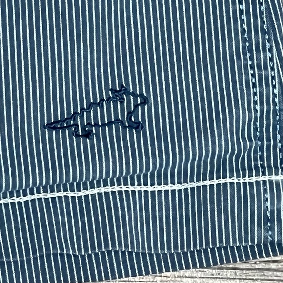 Horny Toad Skirt Skort Women's Size 4 Blue Pinstriped 28" Waist Shorts Athletic - Picture 6 of 16